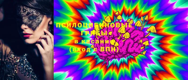 Галлюциногенные грибы Psilocybine cubensis  Беслан 